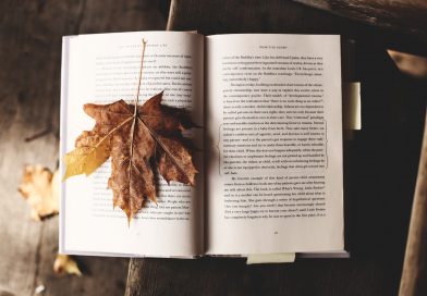Primeira leitura: detalhes que não importam