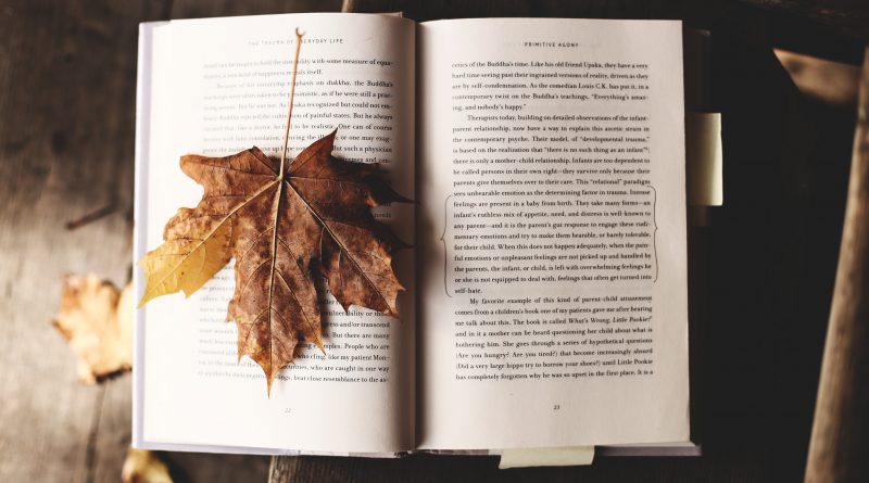 Primeira leitura: detalhes que não importam