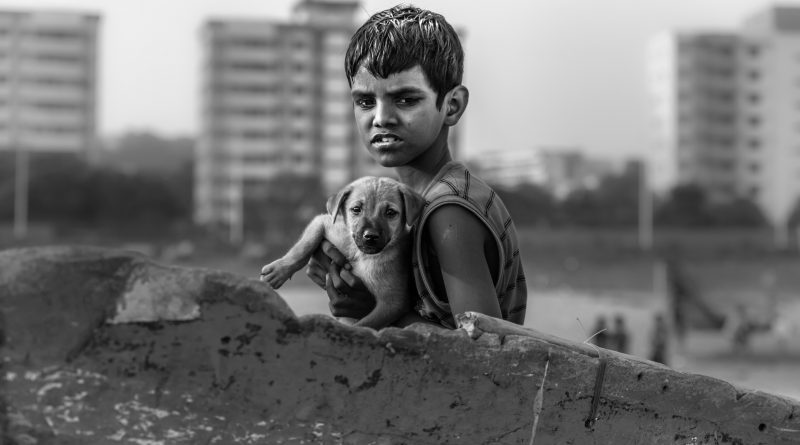 Photo by Patrick Hendry on Unsplash